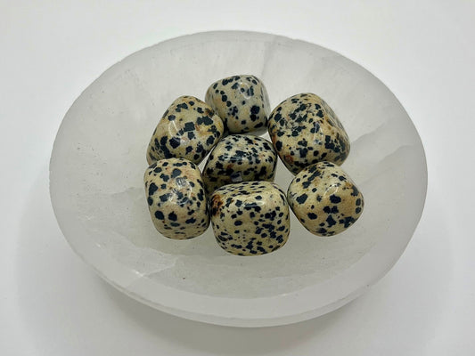 Dalmatian Jasper Tumble