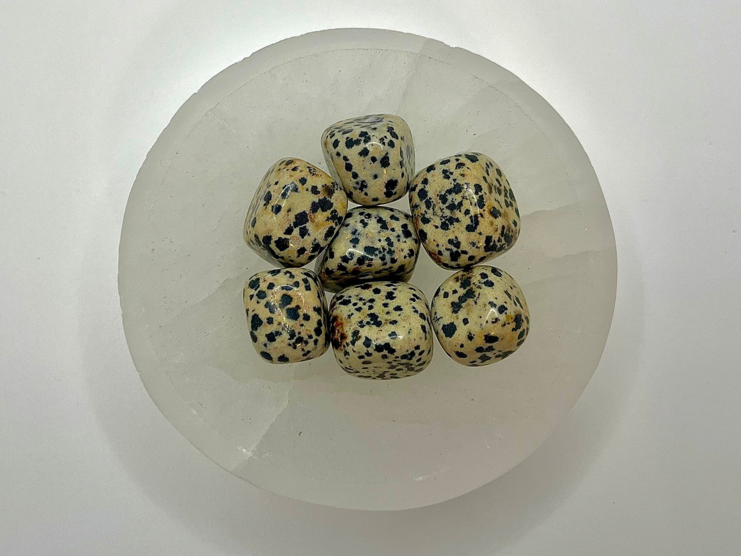 Dalmatian Jasper Tumble