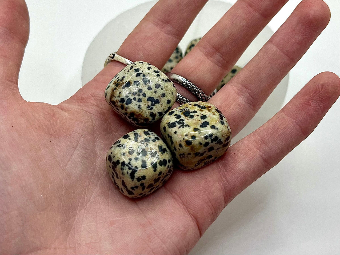 Dalmatian Jasper Tumble